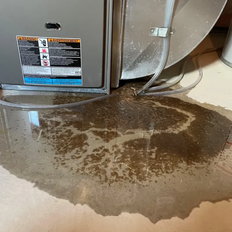 Appliance Leak Cleanup in Alexandria, IN